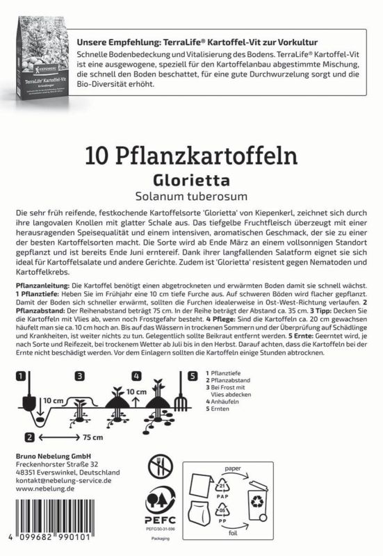 KIEPENKERL Pflanzkartoffel 'Glorietta', festkochend, 10 Stück - Gallerie Bild 2